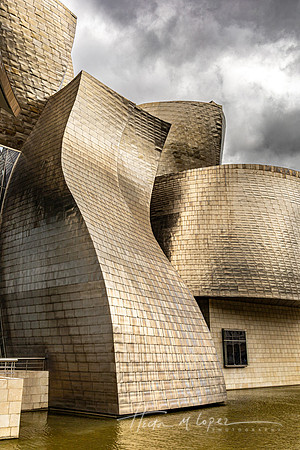 Gehry Curves B&W-2