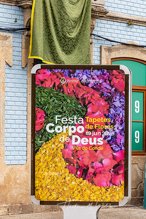 Corpus (8 of 33)