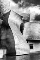 Gehry Curves B&W