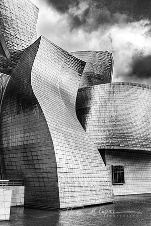 Gehry Curves B&W