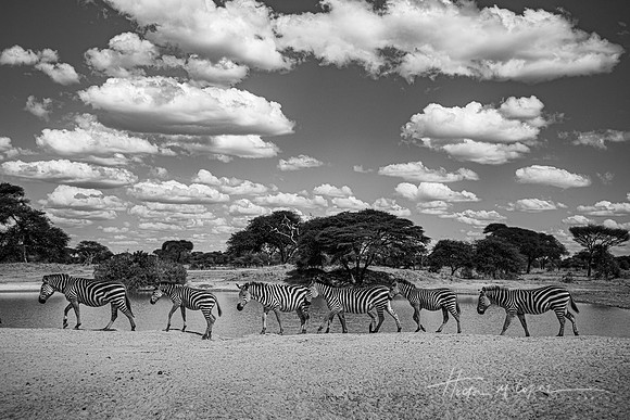 Tanzania BW (5 of 103)