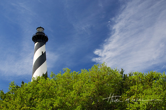 Cape Hatteras Light and Trees