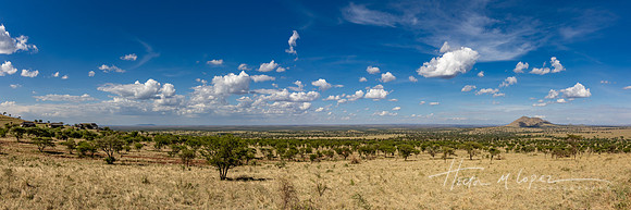 Central Serengeti View