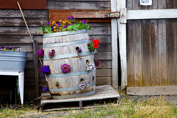 Flower Barrel