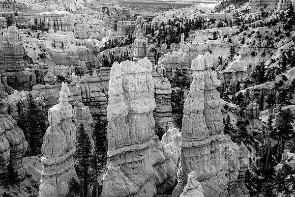 Bryce Canyon Hoodoos