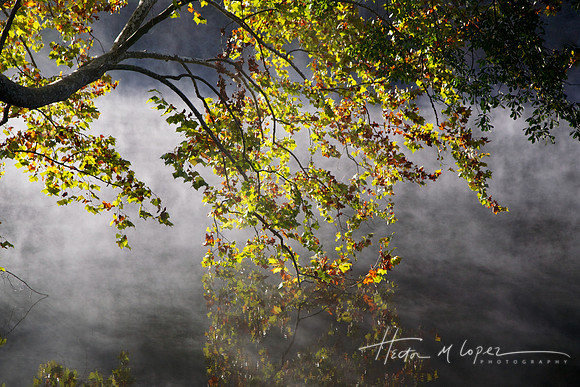 Morning Mist in Georgia