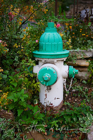 Flower Hydrant