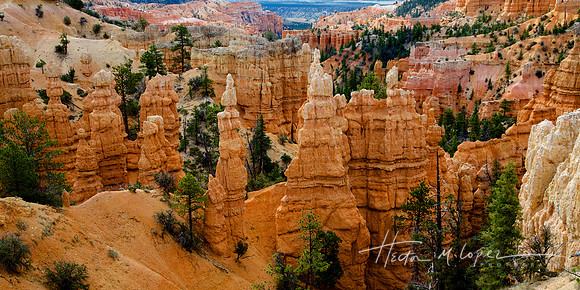 Hoodoos