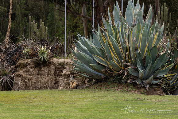 2023_Bolivia (4 of 215)