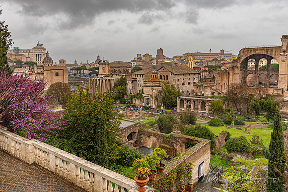 Palatine Hill View of the Roman Forum