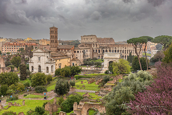 Palatine Hill View of the Roman Forum 2