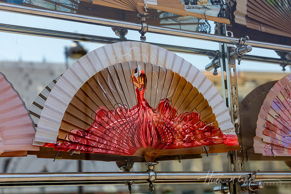 Flamenco fan