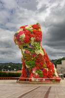 Guggenheim Puppy 3