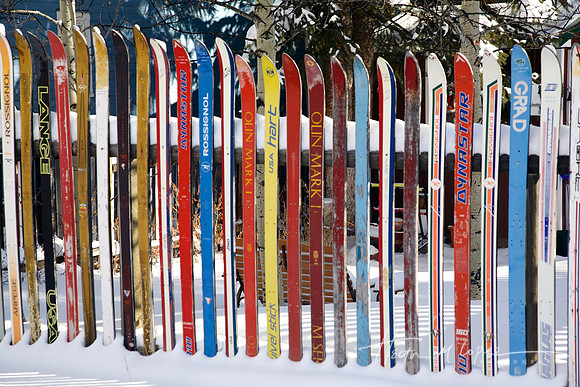 Classic Skis