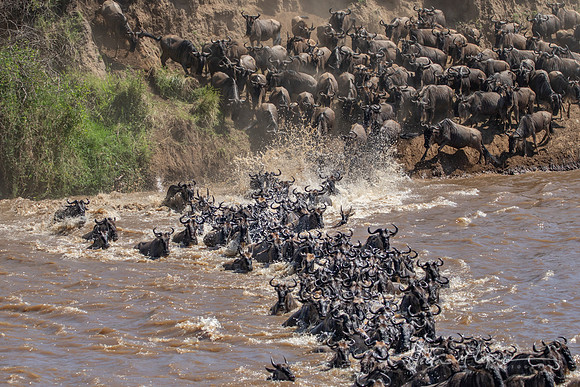 Crossing the Mara