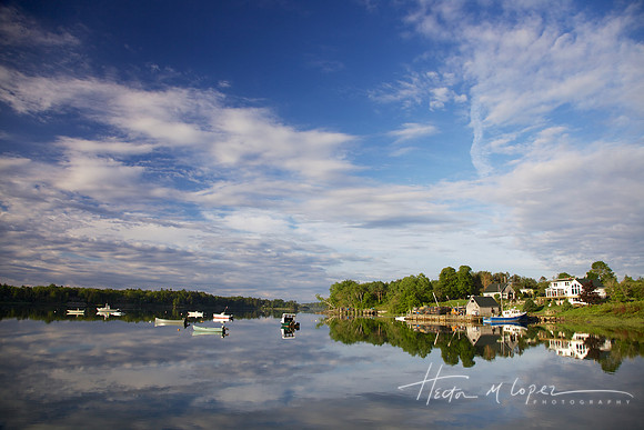 Still Harbor