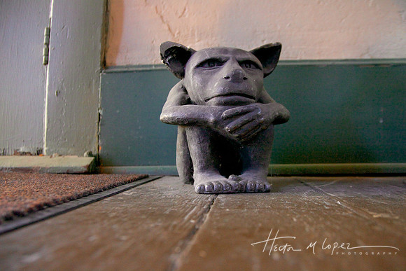 Guardian