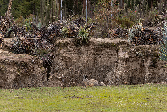 2023_Bolivia (5 of 215)