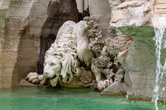 Fontana dei Quattro Fiumi by Bernini Lion