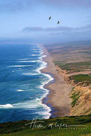 Pt Reyes National Seashore & 2 Birds