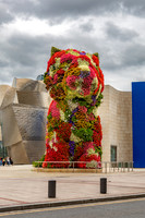 Guggenheim Puppy 2