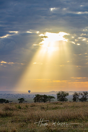 Ballooning Over the Serengeti