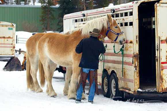 Man with Horse