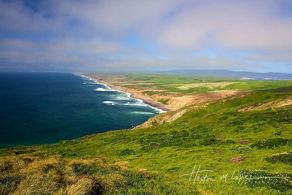 Pt Reyes National Seashore