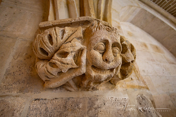 Burgos Cathedral Face